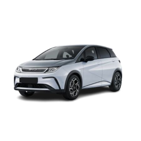 Csomagtértálcák BYD Dolphin