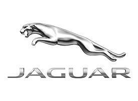 Csomagrögzítő háló Jaguar